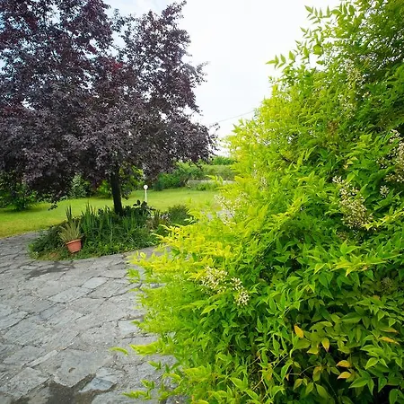 Welcome Bed & Breakfast 3*